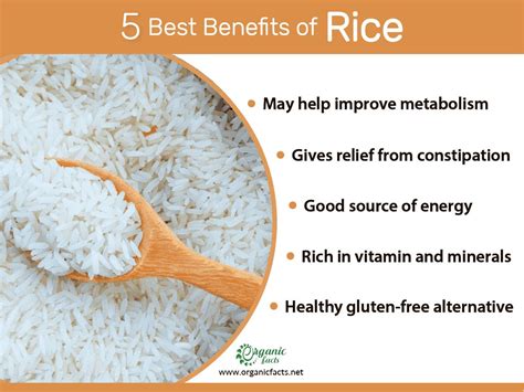 why rice essay Why not focus on the nutritional benefits of rice?